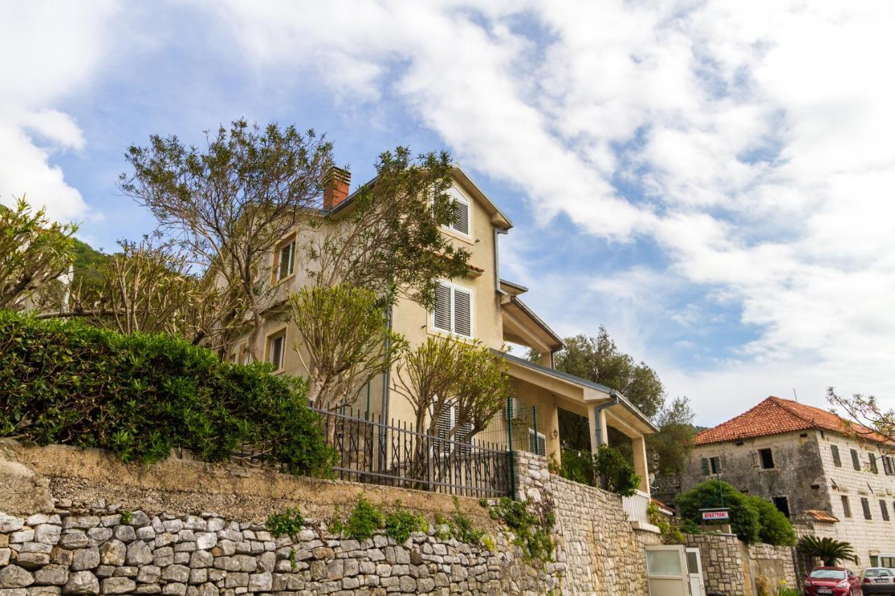 Apartmani Vesna Tivat Exterior foto