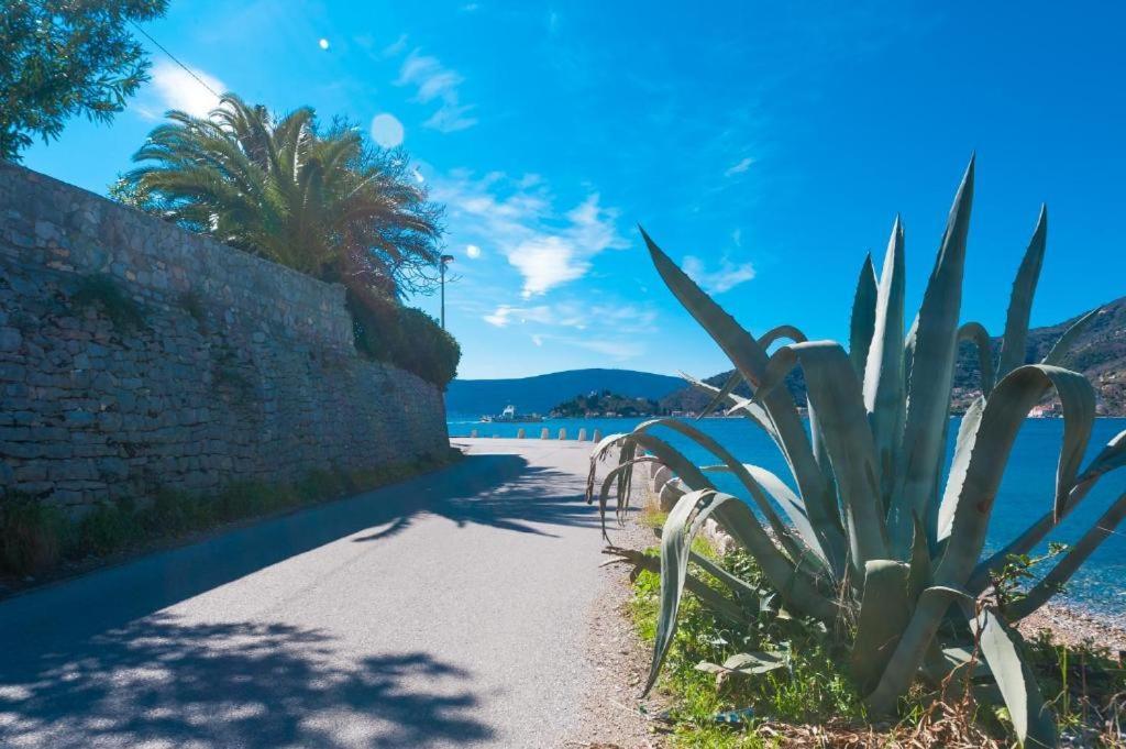 Apartmani Vesna Tivat Exterior foto